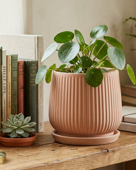 Slopt Ribbed Ceramic Plant Pot Terracotta 5 in